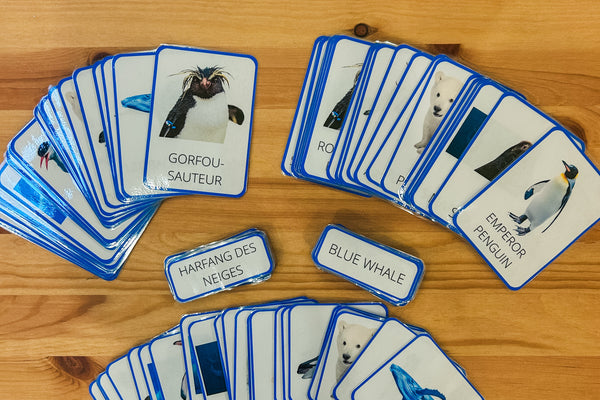 Cartes de nomenclature Animaux polaires