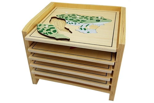 Cabinet de zoologie 5 animaux avec squelette