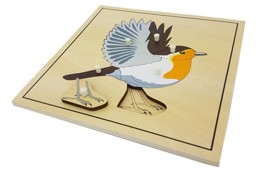 Cabinet de zoologie 5 animaux avec squelette