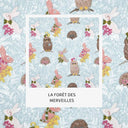  La forêt des merveilles