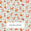  Mon beau renard