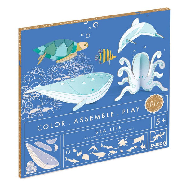 Djeco - Color Assemble Play Mer