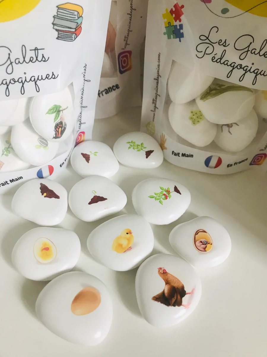 Les petites graines de génie - Le cycle de vie La Tomate et la Poule
