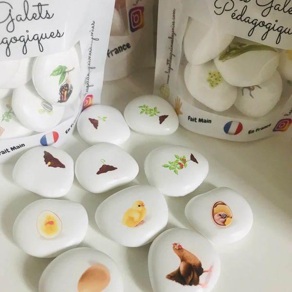 Les petites graines de génie - Le cycle de vie La Tomate et la Poule