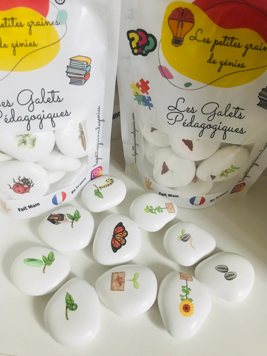 Les petites graines de génie - Le cycle de vie Le Tournesol et Le Papillon