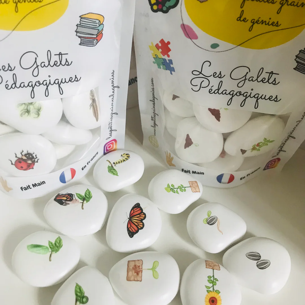 Les petites graines de génie - Le cycle de vie Le Tournesol et Le Papillon