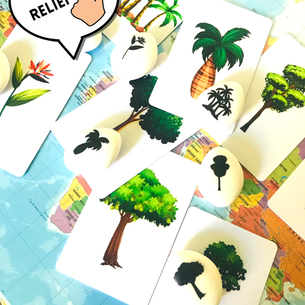 Les petites graines de génie - Les arbres et leur ombre