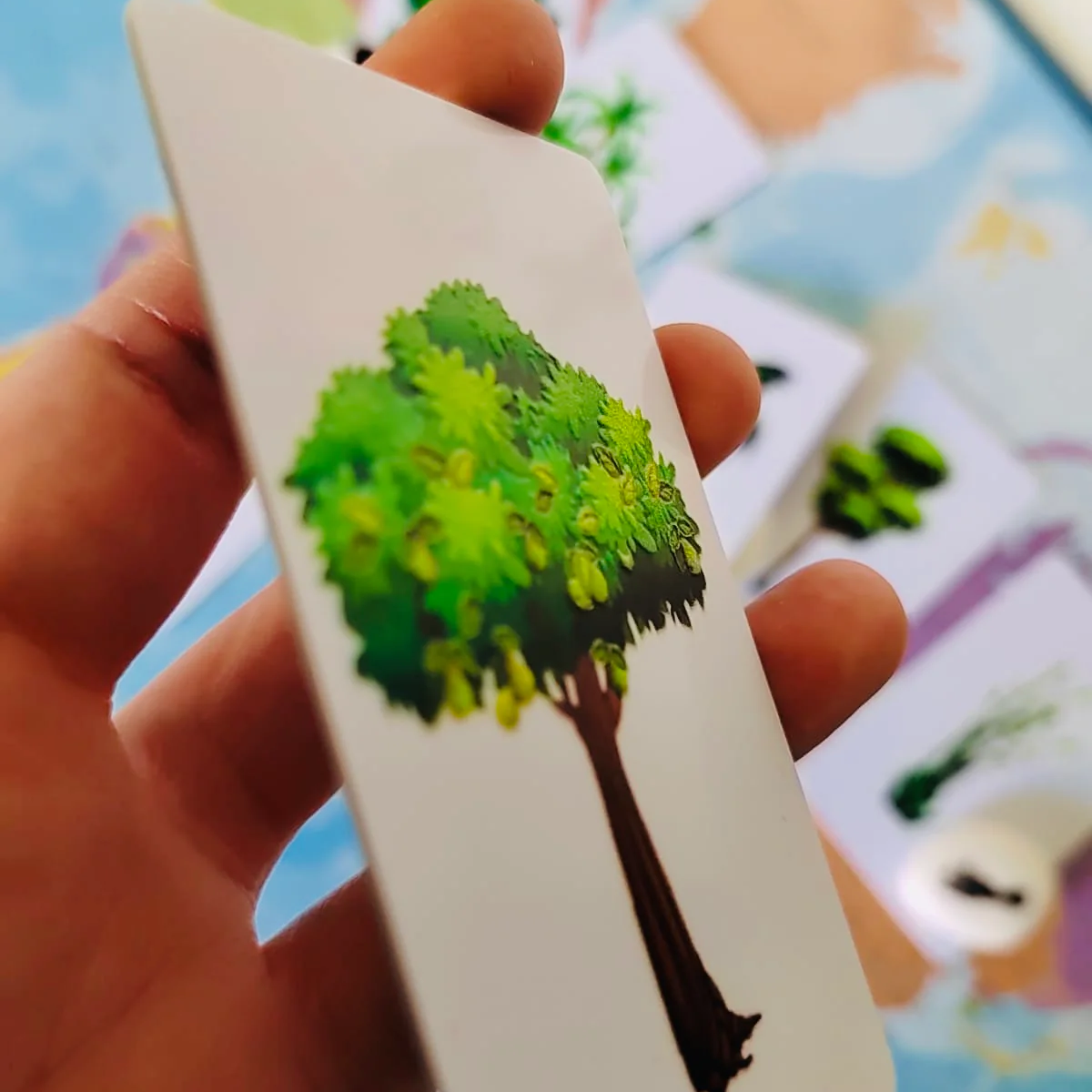 Les petites graines de génie - Les arbres et leur ombre