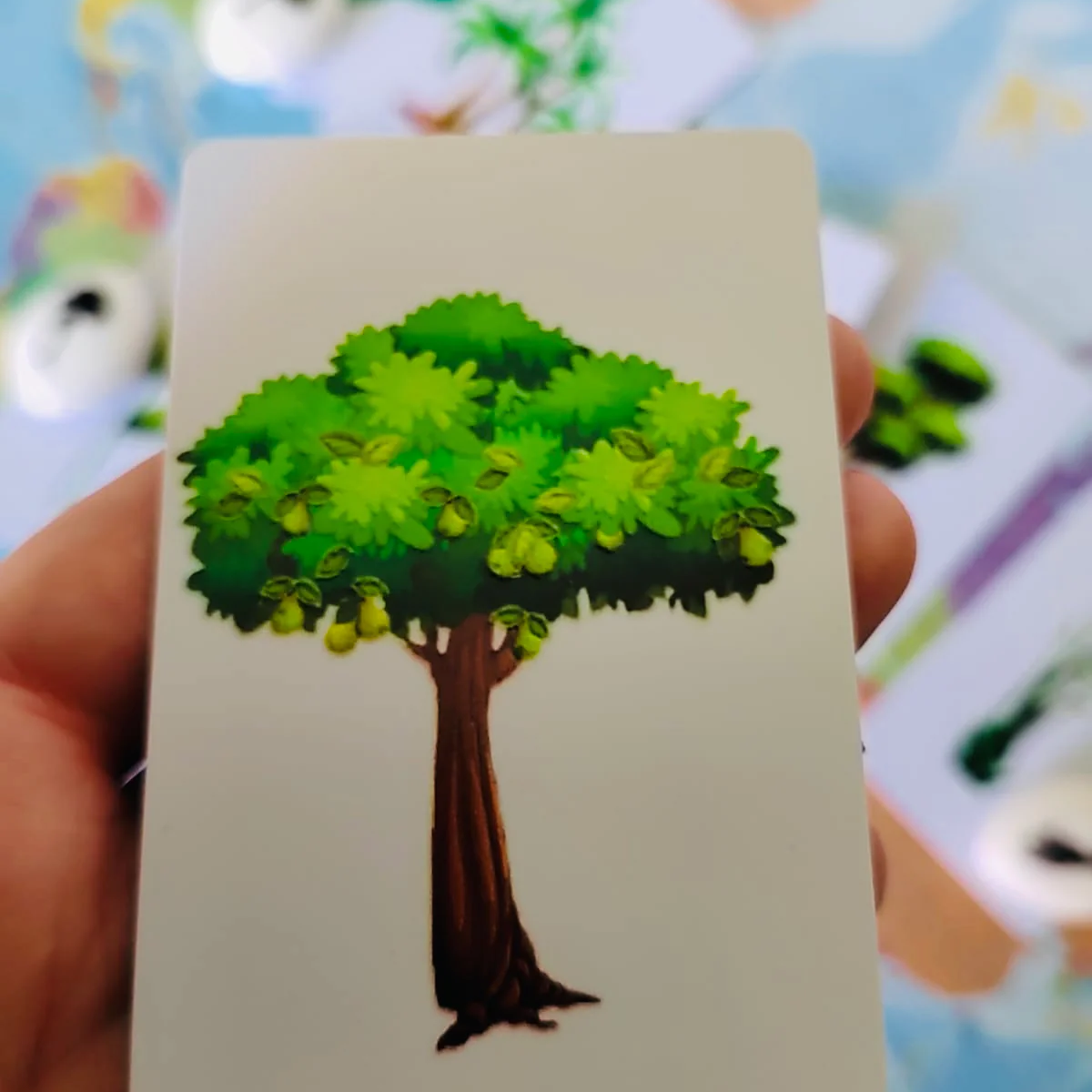 Les petites graines de génie - Les arbres et leur ombre