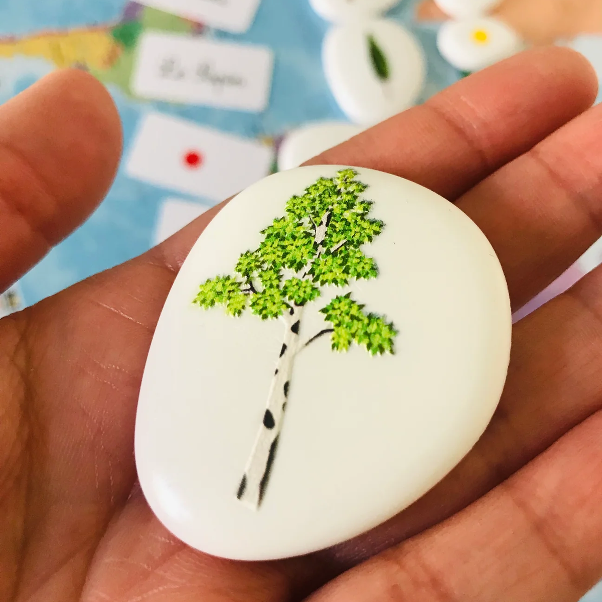 Les petites graines de génie - Les arbres et leurs feuilles