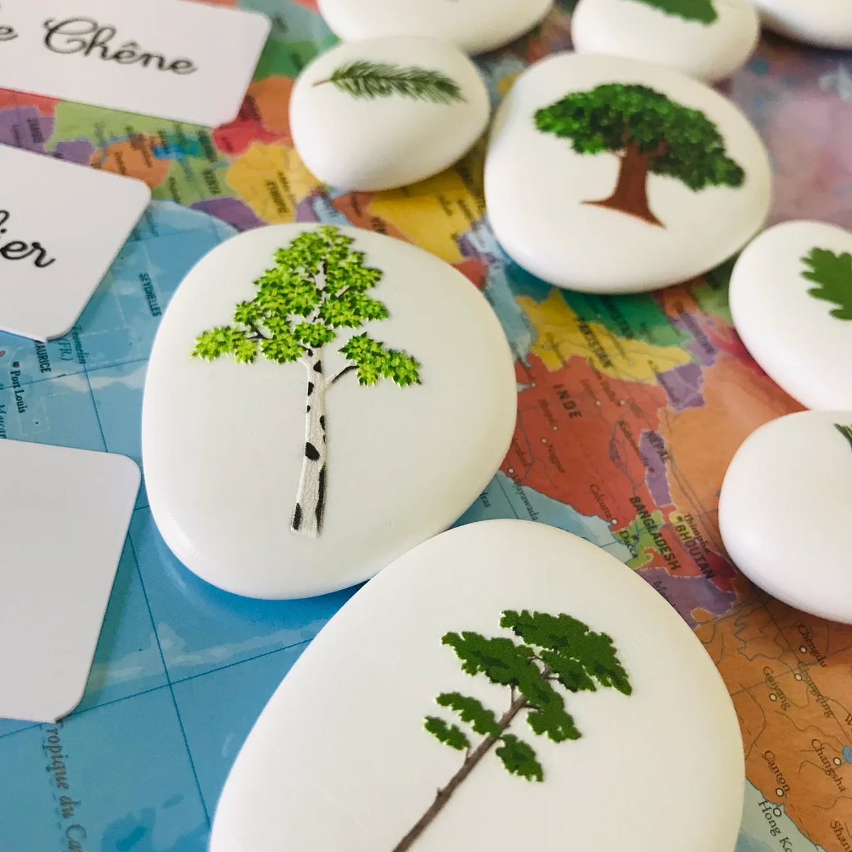 Les petites graines de génie - Les arbres et leurs feuilles