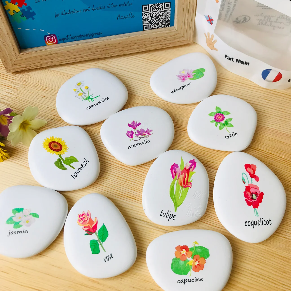 Les petites graines de génie - Les fleurs