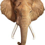 Madd Capp - I AM 700 pcs Eléphant