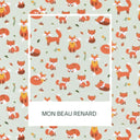  Mon beau renard
