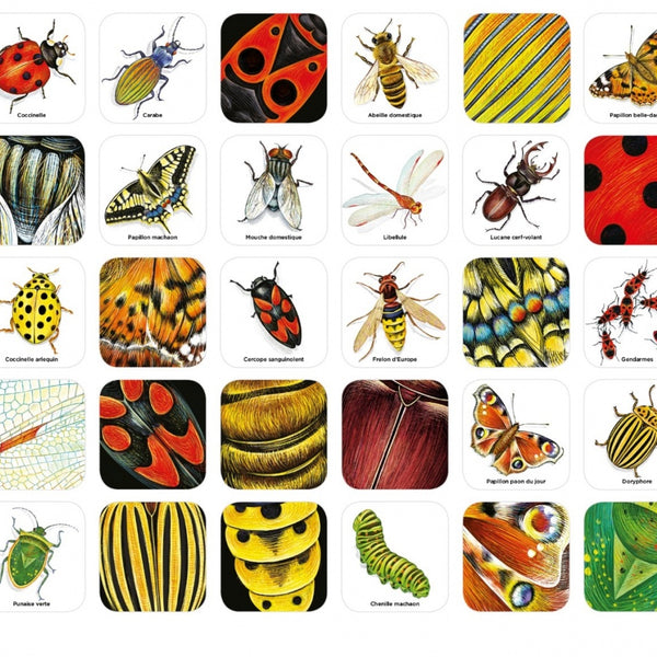 Nathan - Mémo des Insectes