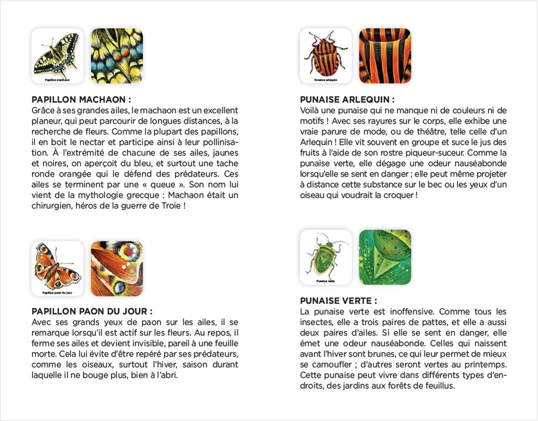 Nathan - Mémo des Insectes