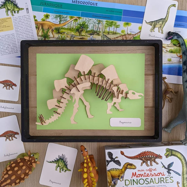 Nathan - Mon coffret Montessori Dinosaures