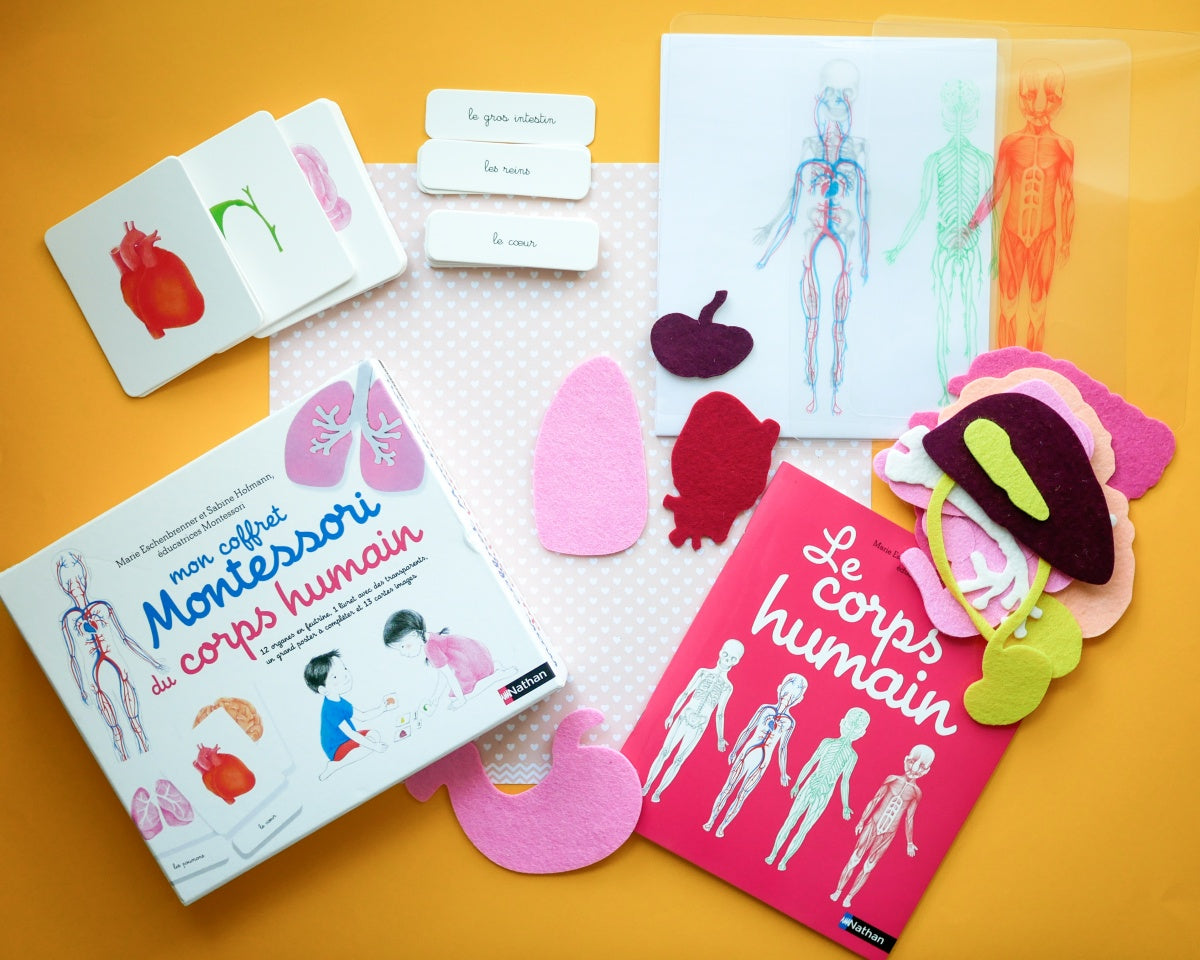 Nathan - Mon coffret Montessori du corps humain
