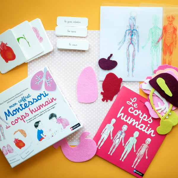 Nathan - Mon coffret Montessori du corps humain