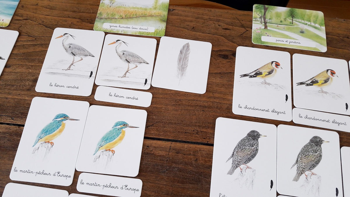 Nathan - Mon coffret Montessori Oiseaux