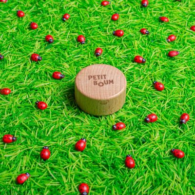 Petit boum - Bouteille sensorielle Sound Coccinelles