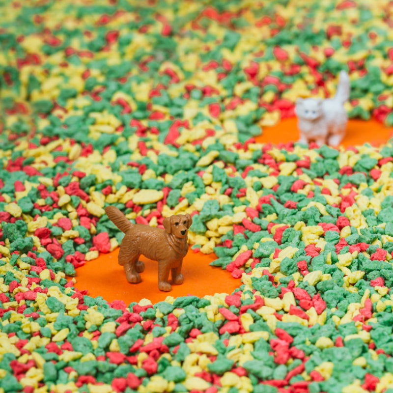 Petit boum - Bouteille sensorielle Spy Animaux de compagnie