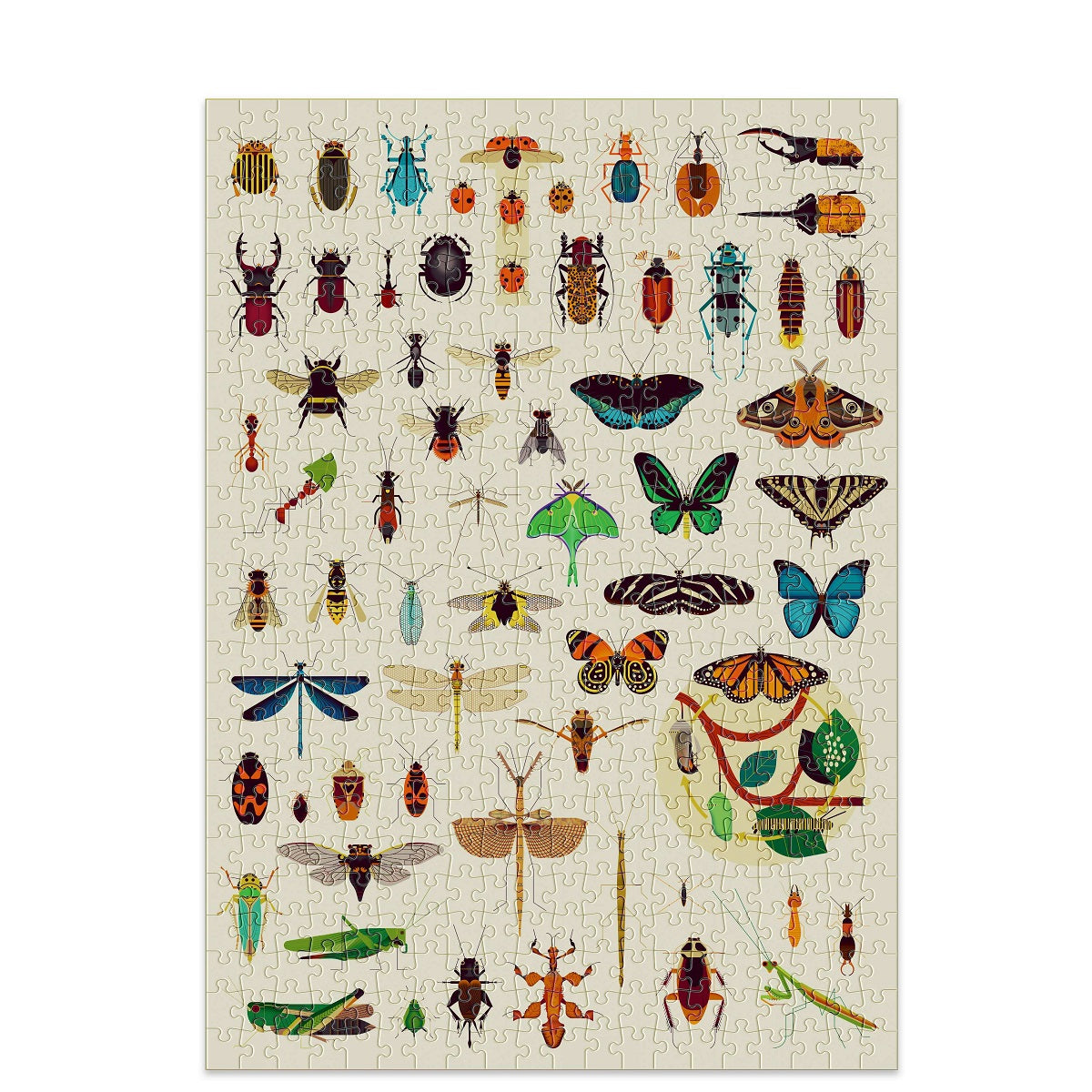 Poppik - Discovery Puzzle Insectes 500 pcs
