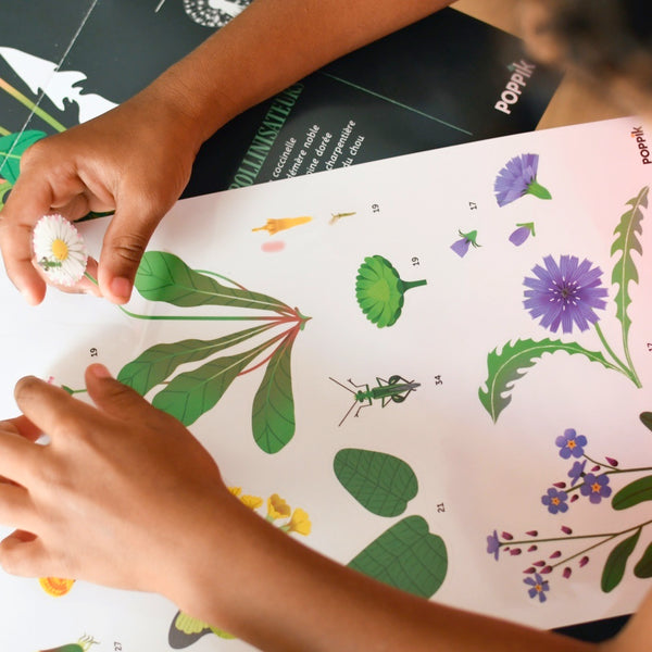 Poppik - Discovery Stickers Fleurs