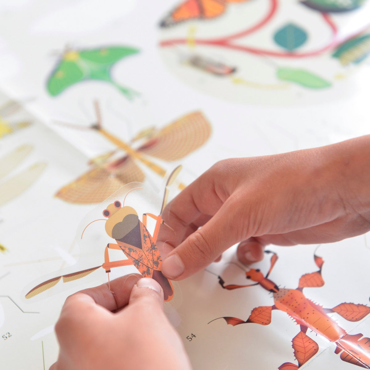 Poppik - Discovery Stickers Insectes