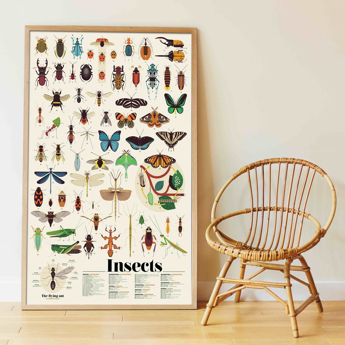 Poppik - Discovery Stickers Insectes