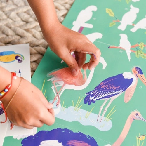 Poppik - Discovery Stickers Oiseaux