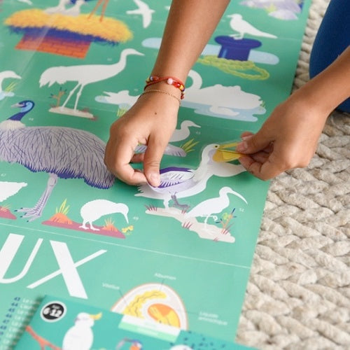 Poppik - Discovery Stickers Oiseaux