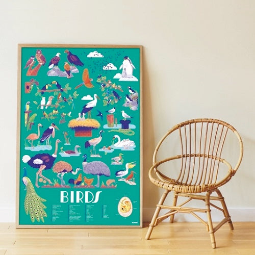 Poppik - Discovery Stickers Oiseaux
