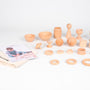 Tickit - Heuristic Play Wooden Basic Set