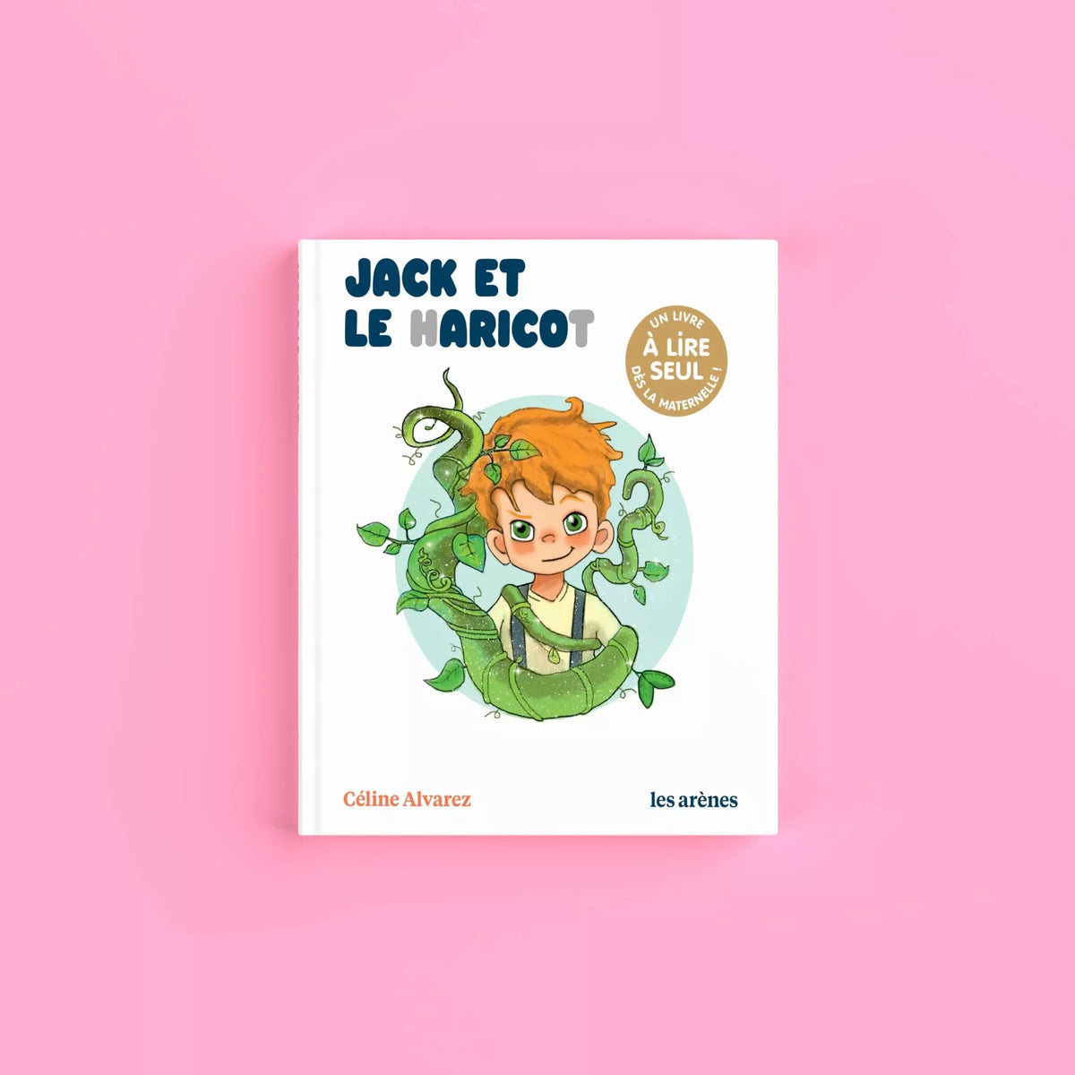 Livres Histoires Niveau 1