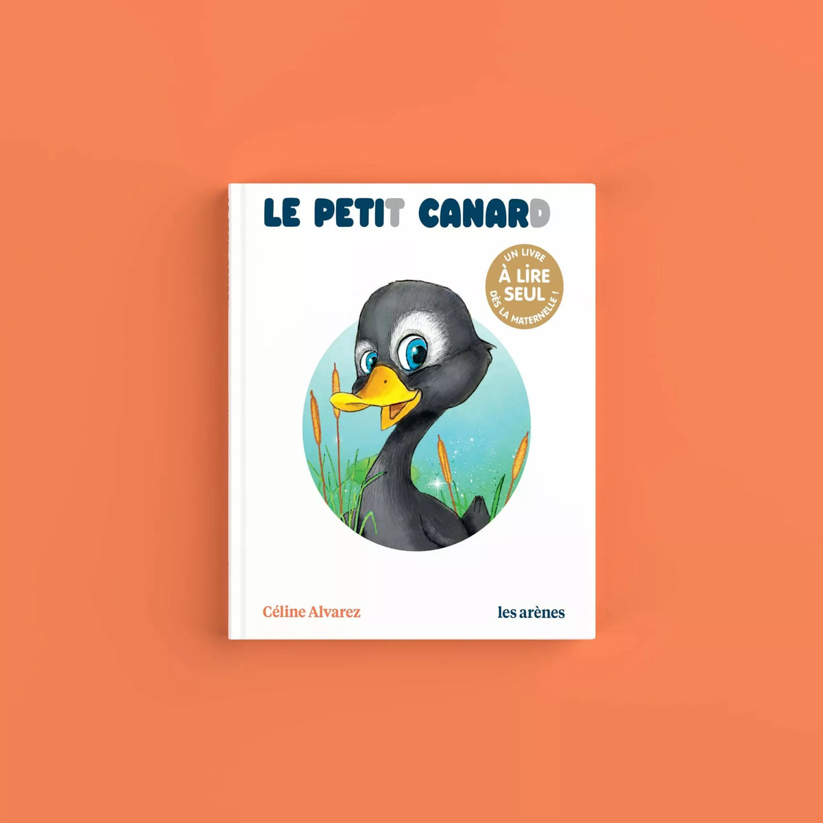 Livres Histoires Niveau 1